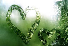 多特蒙德惊险逆转，豪取德甲季军